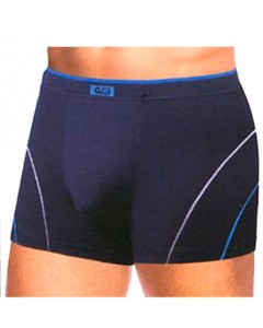Боксерки мужские XL голубые